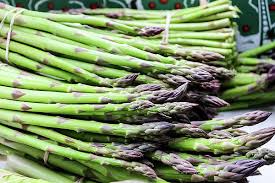 Image result for Asparagus buchananii