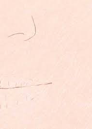 Color Pencil Portraits How To Shade The Skin