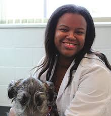 The MSPCA-Angell and Northeast Animal Shelter Merge Technology and Staffing  Advances in the Past Year