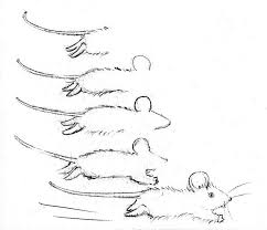 Craftsy Com Express Your Creativity Mouse Drawing Drawings Animal Drawings