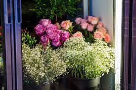 Nature & parks in portsmouth. Flowers By Leslie Portsmouth Nh Florist Spotlight
