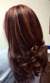 Http Www Panasonic Com In Consumer Beauty Care Female Grooming Hair Styler Html Auburn Hair Hair Color Pictures Hair Color Auburn Brown