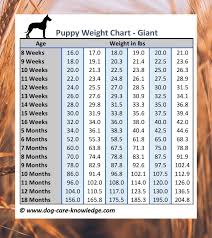 Puppy Weight Chart This Is How Big Your Dog Will Be Weight Charts Chart Weight