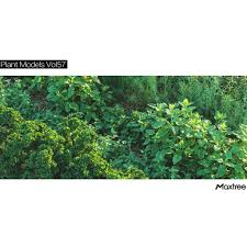 Maybe you would like to learn more about one of these? Buy Model Maxtree Plant Models Vol 57 Shrubs Edible Seetracker Malaysia