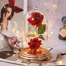Loggt euch auf stardoll.com ein. Shirylzee Ewige Rose Blume Rose Im Glas Die Schone Und Das Biest Rose Techstudio Ch