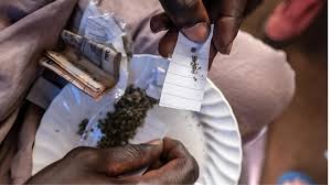 Le kush s'empare des jeunes du bassin du fleuve Mano | ISS Africa