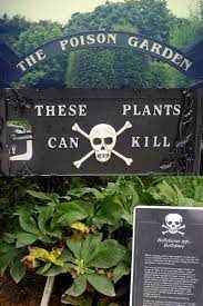 Life In The Poison Garden Inspiringtravellers Com Poison Garden Deadly Plants Poisonous Plants