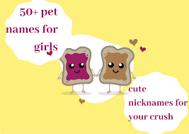 Free fire stylish pet name free fire pet name for mechanical pup if you want the best pet name in free fire here is my list of unique free fire pet name you can. 50 Pet Names For Girls Cute Nicknames For Your Crush Tuko Co Ke