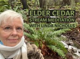 LISTEN: Elder Cedar Stream Meditation with Linda Nicholls » The Haven