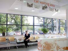 Chat 1:1 w/ doctors, lawyers, veterinarians, mechanics & more 270 Veterinary Interior Ideas Veterinary Hospital Design Veterinary Hospital