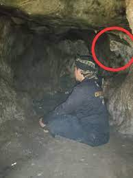We did not find results for: Penampakan Makhluk Halus Maung Lodaya Penghuni Gunung Sunda Sukabumi Beritabuanaco