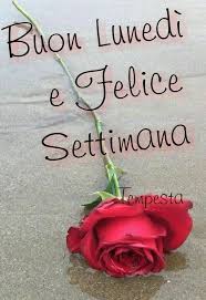 Risultati Immagini Per Buon Lunedi Mattina Pinterest Gif Buon Lunedi Buon Lunedi Mattina Lunedi