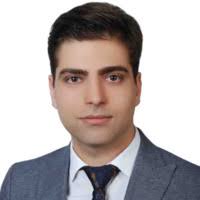 20+ "Pedram Amini" profiles