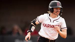 憧れの 芦田愛菜 winning prize 直筆サイン polaroid collection 完成