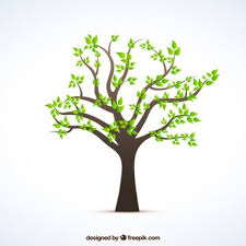 Im sommer oder im winter ist ein kleiner ausflug auf den schulhof oder dorthin, wo bäume stehen, lohnenswert. Bilder Baum Gratis Vektoren Fotos Und Psds