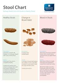 The majority (60%) of the tumors are in the lower bowel, the colon and rectum. Pin On Healing