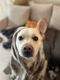 Thomas Criger's Instagram, Twitter & Facebook