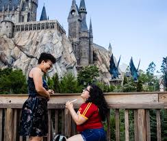 The wizarding world that we know today developed over centuries of interaction with the muggle world, starting as allies and friends and over the years withdrawing under suspicion and persecution. Wizarding World Of Harry Potter Proposal