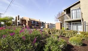 Search and browse 16078 apartments under $600 available for rent in san antonio, tx. Apartments Under 600 In San Antonio Tx Rentable