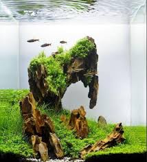 Check spelling or type a new query. Aquascape Design Ideas For Android Apk Download