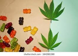 cbd gummies vs oils for pain
