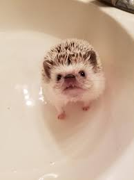 sink! i don't want to be baff'd