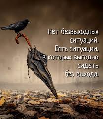 что есть у птиц и чего нет у других животных Pin Ot Polzovatelya Bessmertnaya Zoya Na Doske Moi Raboty Pravdivye Citaty Utrennie Citaty Pozitivnye Citaty