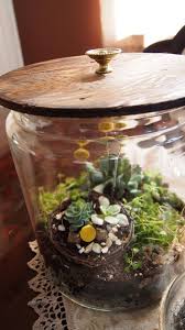 Diy Terrarium Terrarium Vintage Containers Terrarium Diy