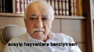 Acayip Hayvanlara Benziyirsen Youtube