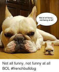 Pin On 101 About Frenchie Bulldogs