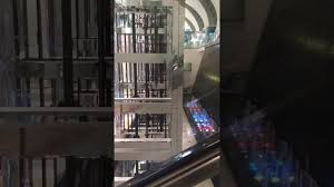 Dubai international airport is scrambling to cope with the extreme weather, working to get its operations back to normal. Aeropuerto Dubai Por Dentro Cascada Airport Inside Waterfall Youtube