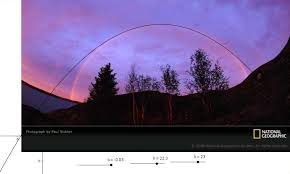 Nature And Quadratic Equations Who Knew Quadratics Algebra Algebra 2