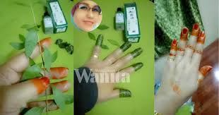 Manfaat daun sirsak secara mengejutkan sangat bermanfaat bagi banyak anggota tubuh, baik anggota tubuh bagian luar seperti kulit, maupun anggota tubuh bagian dalam seperti jantung. Pakai Inai Sapu Minyak Angin Tak Payah Tumbuk Merah Dan Cantik Lagi Mingguan Wanita