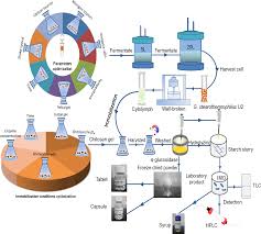 Plant cell cultures and microbacteria are. Starch Biotransformation Into Isomaltooligosaccharides Using Thermostable Alpha Glucosidase From Geobacillus Stearothermophilus Peerj