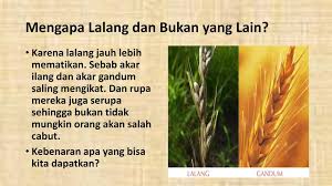 Umumnya kawasan yang menjadi latar lokasi film dilan ini memang belum banyak berubah. Dihimpit Namun Tak Terjepit Ppt Download