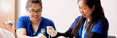 See salaries, compare reviews, easily apply, and get hired. Nursing School In Houston Texas Chamberlain University