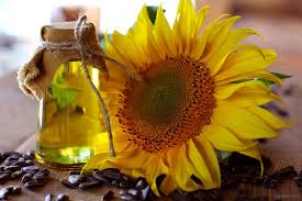 Image result for Sunflower oil