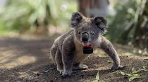 Original 1boy 2023 - Lewd.ninja