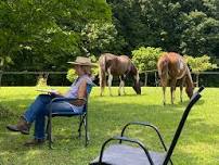 Herd Meditation