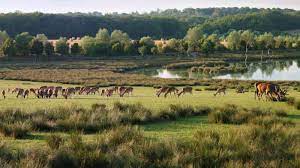 Ver todas las opiniones de 2.701. Tierpark Von Sainte Croix Rhodes Visit Alsace