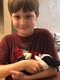 Help me name my new boy bunny!