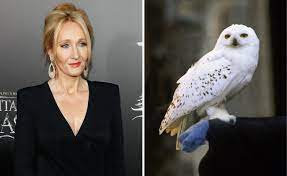 What is the name of harry potter owl name? Harry Potter S Jk Rowling Tells Fans Not To Keep Owls As Pets After Disturbing Story