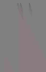 Image result for Thecacoris spathulifolia