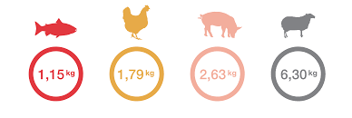 How Much Feed Is Needed To Grow A Farmed Fish