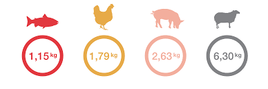 how much feed is needed to grow a farmed fish