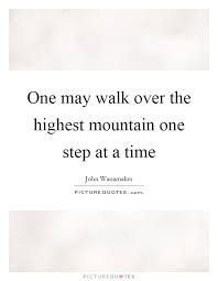 One May Walk Over The Highest Mountain One Step At A Time Picture Quotes