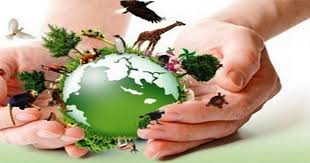 Vamos cuidar do meio ambiente. Atividades Meio Ambiente Educacao Infantil Para Imprimir E Colorir