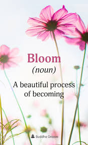 Word Of The Day Bloom Beautiful Flower Quotes Bloom Quotes Flower Quotes