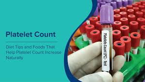 Image result for Platelet Count