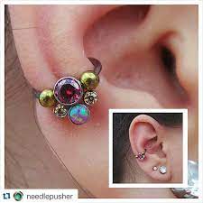Anatometal On Instagram Repost Needlepusher Love This Cluster Fully Healed Conch Piercing With A Cus Body Jewelry Earrings Rook Jewelry Body Jewelry
